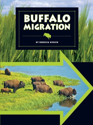 cover image of Buffalo Migration